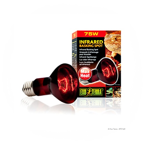 [HAGEN]PT-2142 파충류 적외선 스팟 램프 75w / 1BOX(6개)